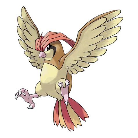 Pidgeotto official artwork
