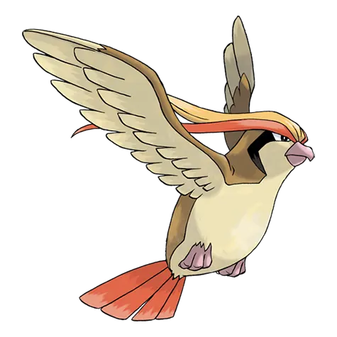 Pidgeot official artwork