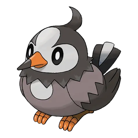 Starly official artwork