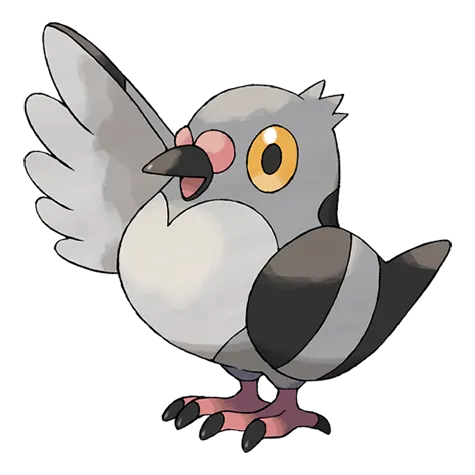 Pidove official artwork