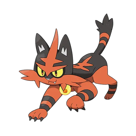 Torracat official artwork
